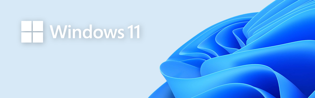 Windows 11 Upgrade Options