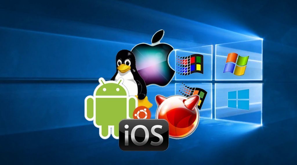 Why do so many companies use Windows OS?
