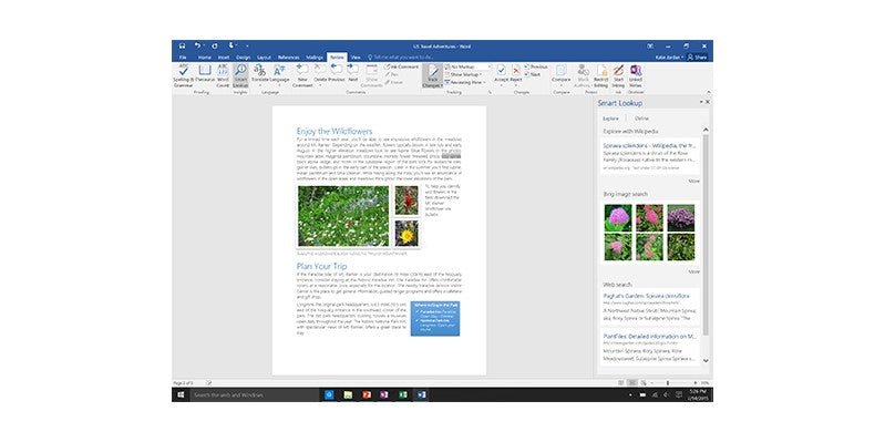 Includes Microsoft Word